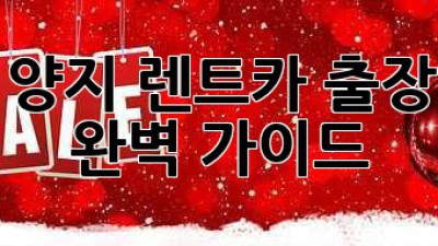용인 양지 렌트카 출장 대여: 완벽 가이드