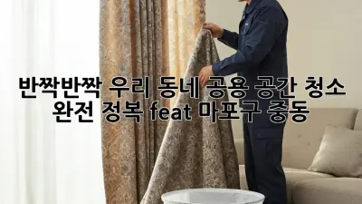 ✨ 반짝반짝 우리 동네! 공용 공간 청소 완전 정복 (feat. 마포구 중동) ✨